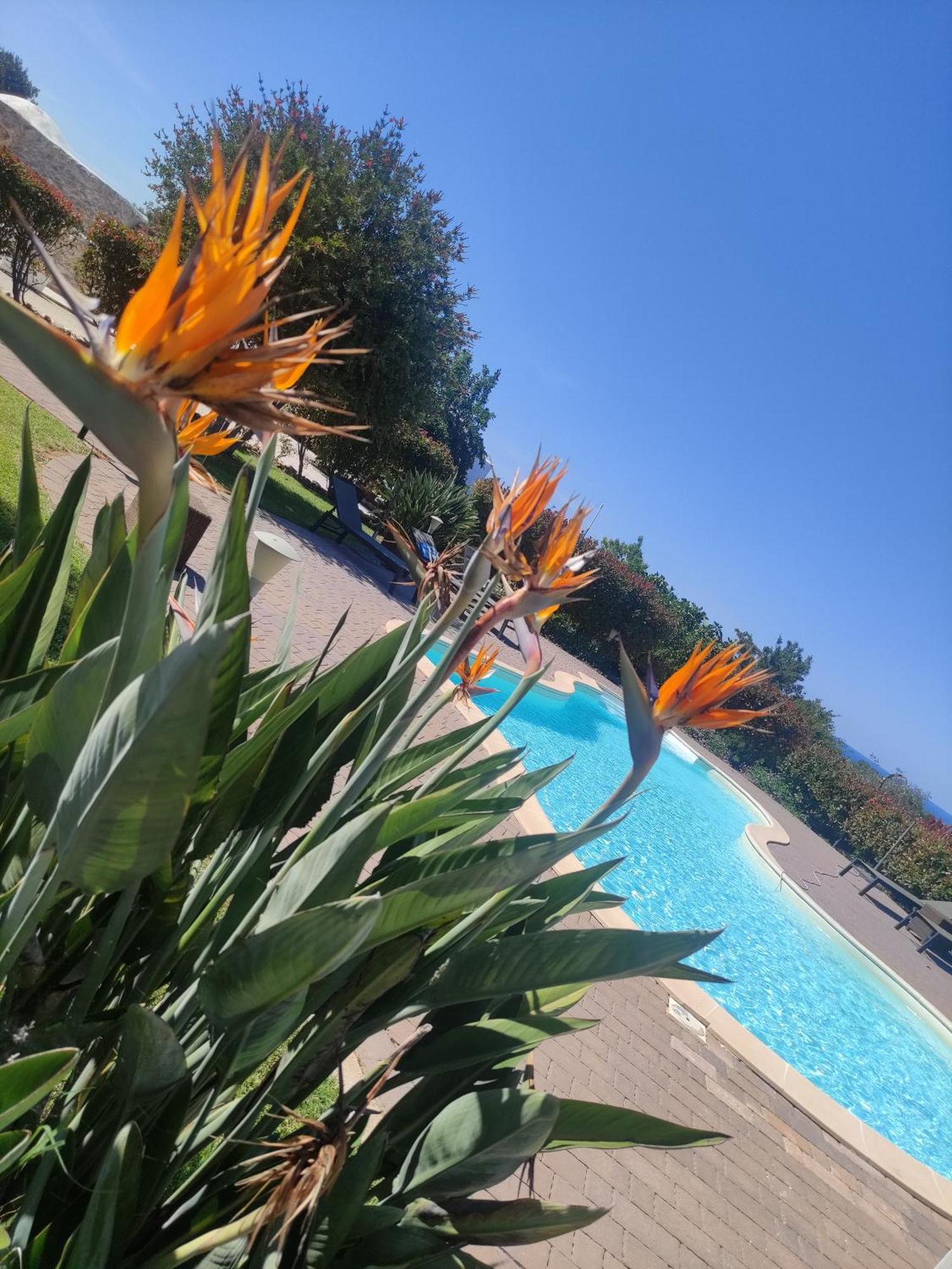 B&B La Vigna Carovigno Εξωτερικό φωτογραφία