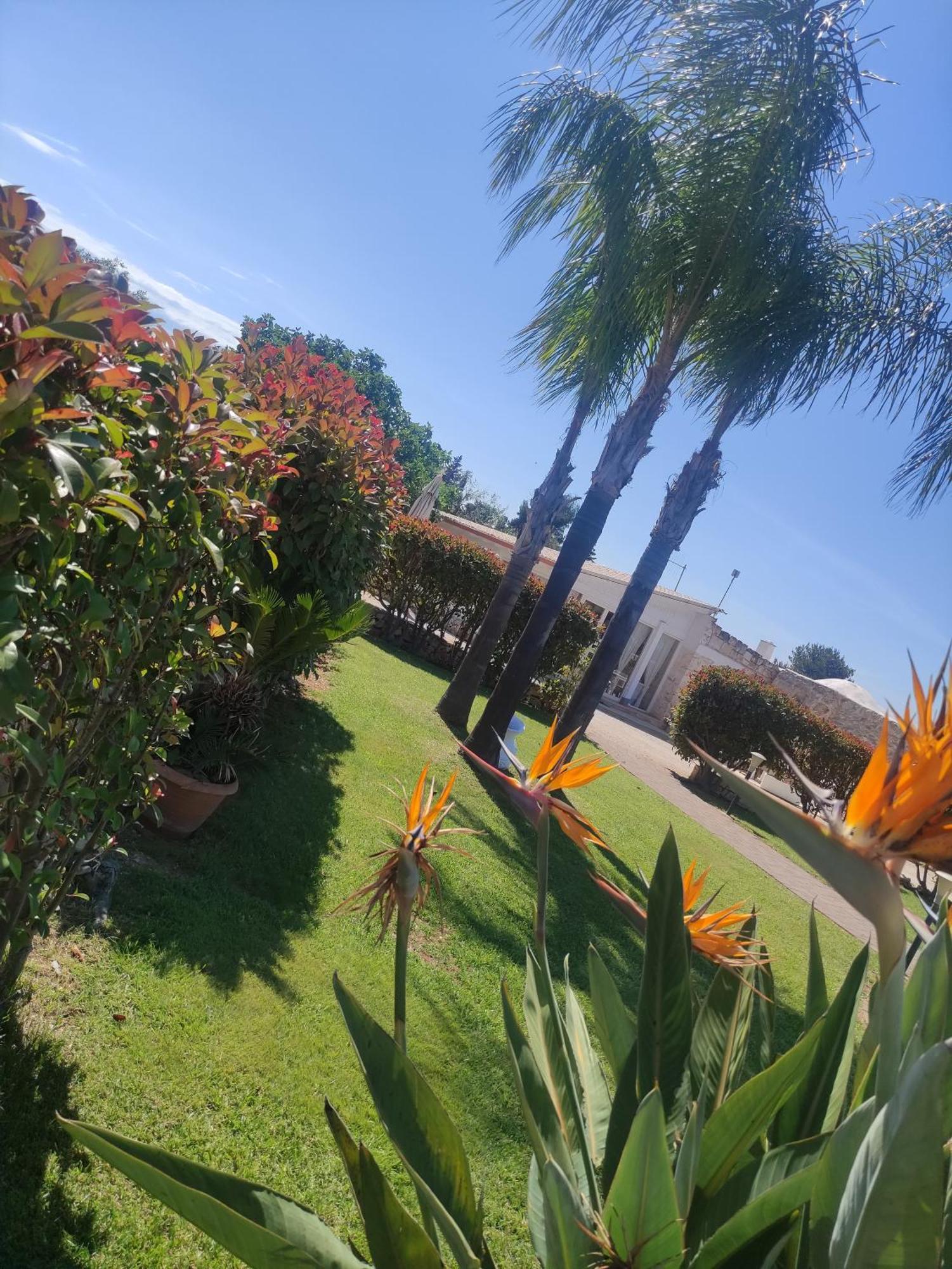 B&B La Vigna Carovigno Εξωτερικό φωτογραφία